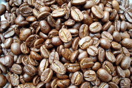 廣州市白云區太和源味食品加工廠 專注于食品開發與生產的創新企業