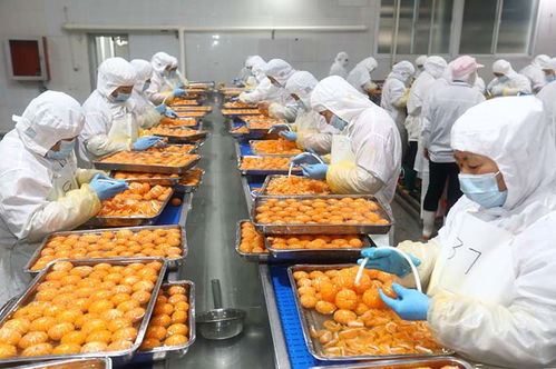 延伸果蔬加工產業鏈 出口罐頭生產忙