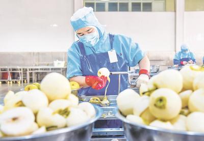 以食品開發促進深加工 推動梨產業高質量發展