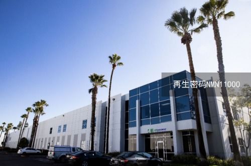 NMN抗衰食品 為特困戶提升NAD+水平，改善睡眠與延緩衰老的創新之路