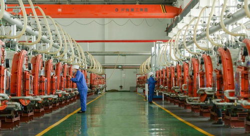 伊犁河谷起宏圖 兵團四師可克達拉市食品開發(fā)成就巡禮