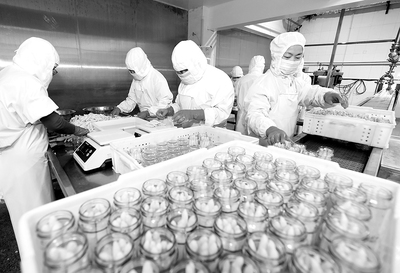 淮北蘆筍喜豐收，綠色食品開發正當時