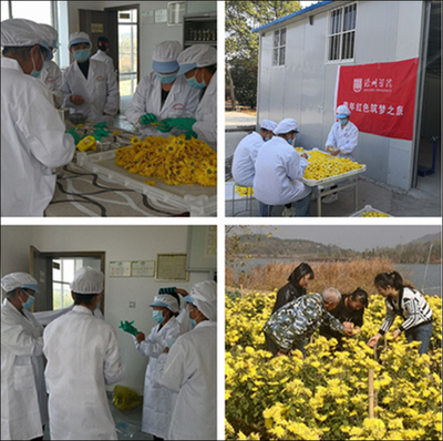 食品學院實踐團隊赴妙山村開展“青年紅色逐夢之旅” 科技賦能傳統食品開發，助力鄉村振興
