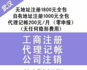 漢口專業(yè)財稅服務(wù) 財務(wù)代理、內(nèi)賬外賬管理、一般納稅人申請、清理舊賬與代辦貸款申報一站式解決方案